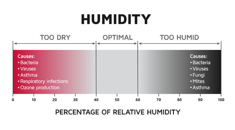 How Do I Check the Humidity Level in My House