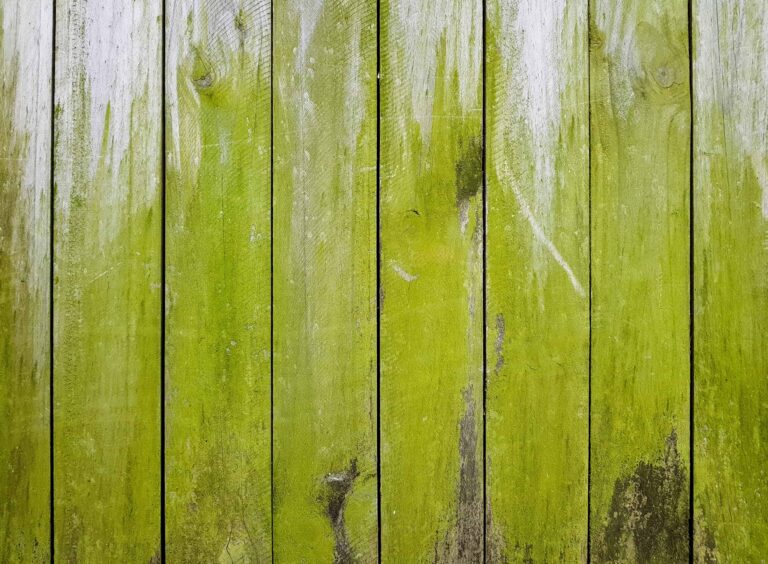 How Do You Remove Green Algae from Decking