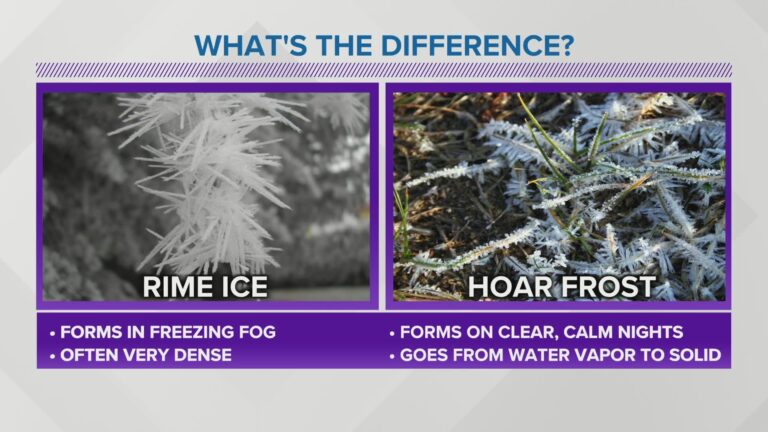 What is the Difference between Rime Ice And Hoar Frost
